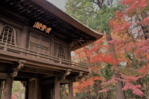 不用品回収を新座市で依頼するならココ！おすすめ業者3選