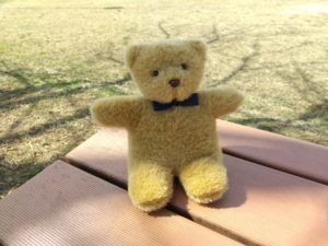 意外と困るぬいぐるみの処分方法！捨てる以外の方法もあるって本当？